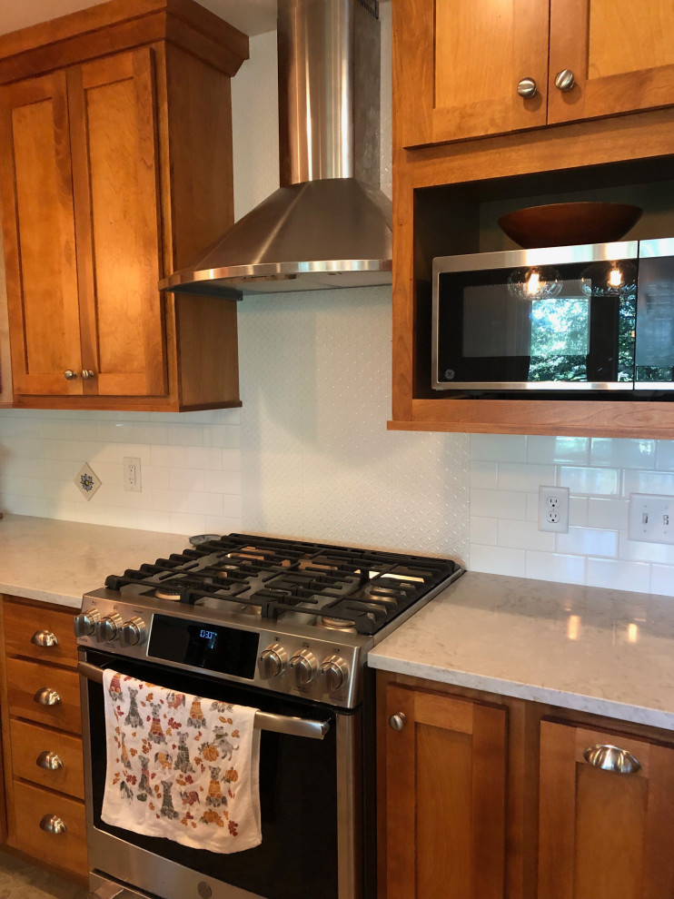 Kitchen - transitional kitchen idea