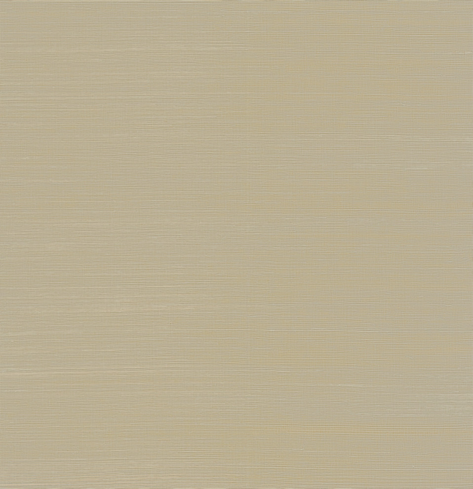 Sakiya Neutral Grasscloth Wallpaper Transitional Wallpaper by