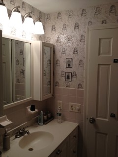 Need help choosing paint color for my bathroom