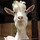 audrey_brown54