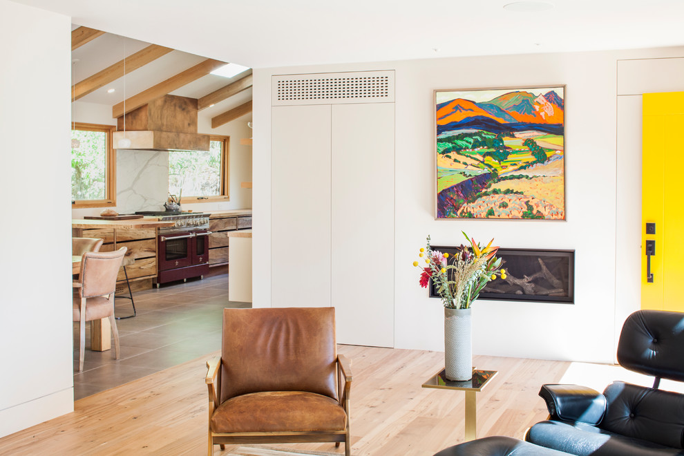 Design ideas for a midcentury home design in San Francisco.