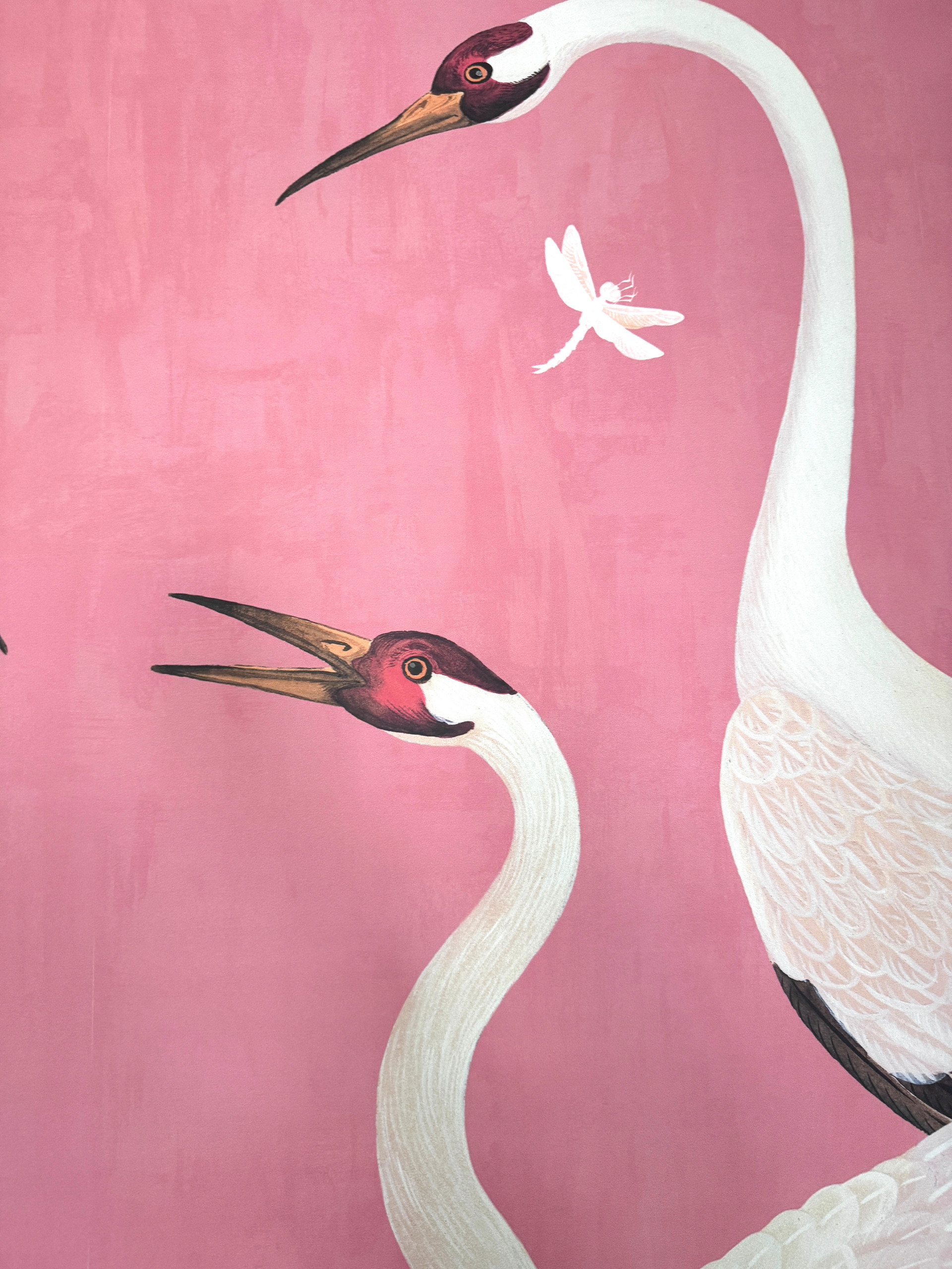 Pink Herons