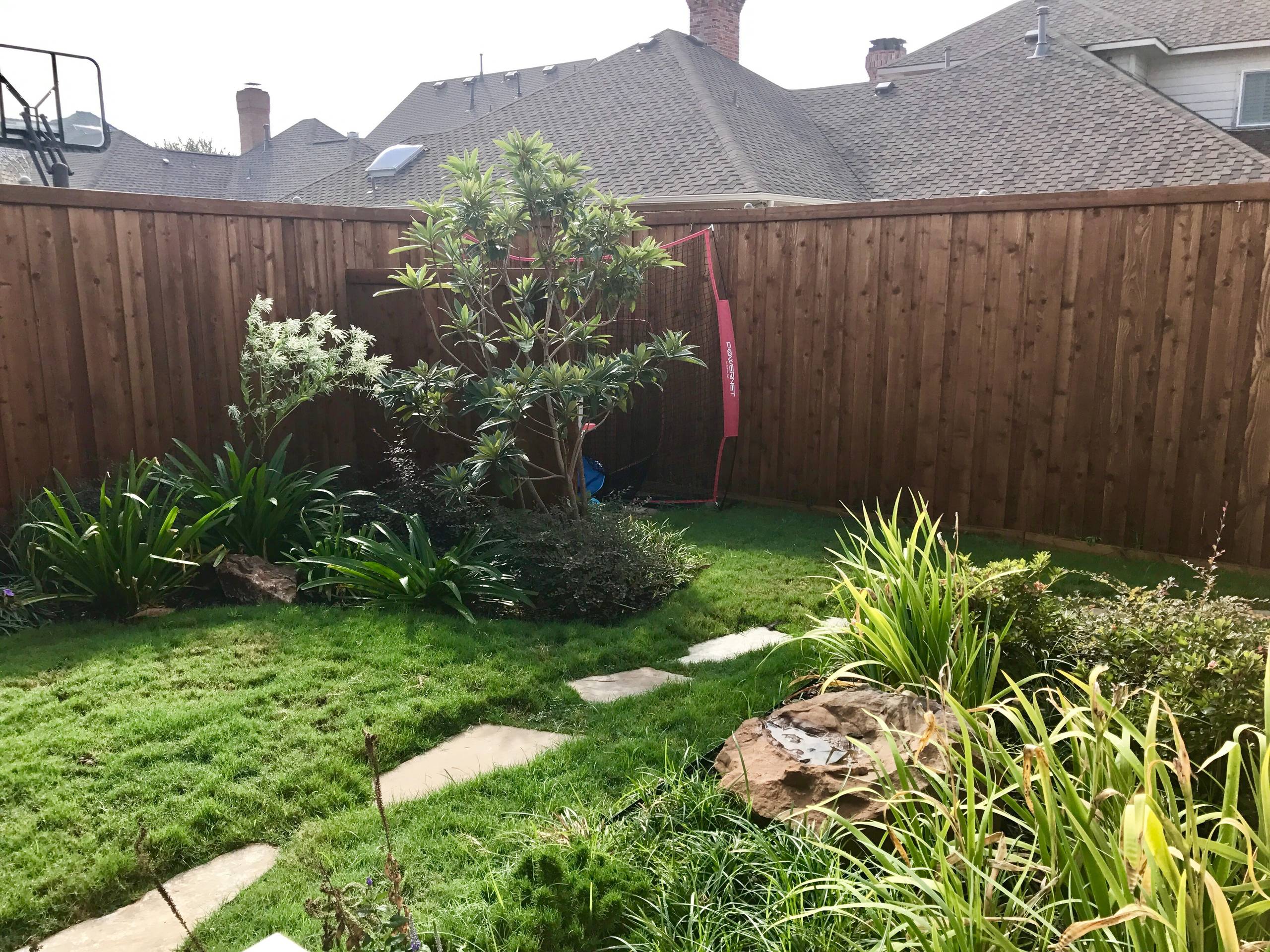 Back yard Pool Remodel