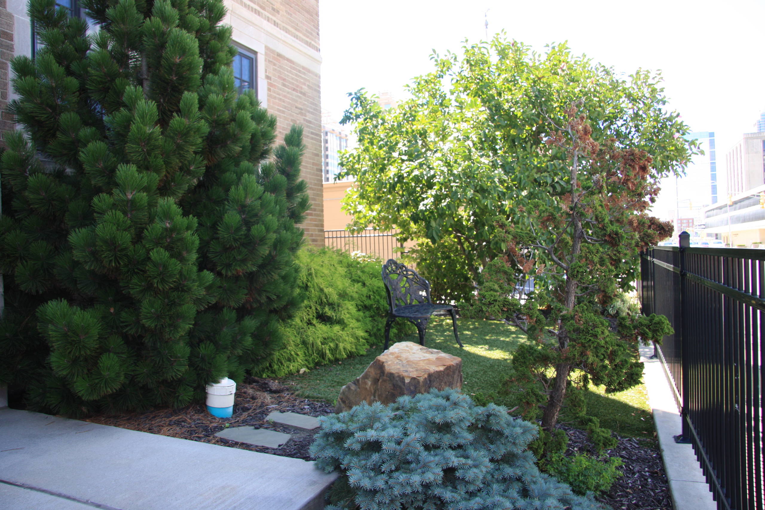 Wittern Roof top Garden