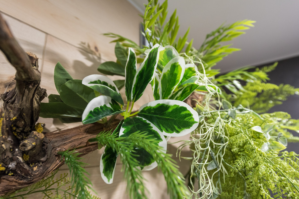 Эко квартира реализация