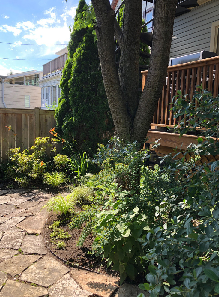 Back yard shrubbery | Artistry Landscaping Design