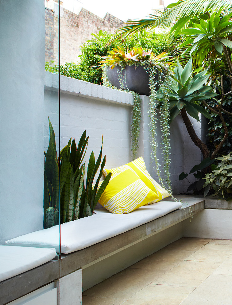 Inspiration for a small contemporary backyard formal garden in Sydney.