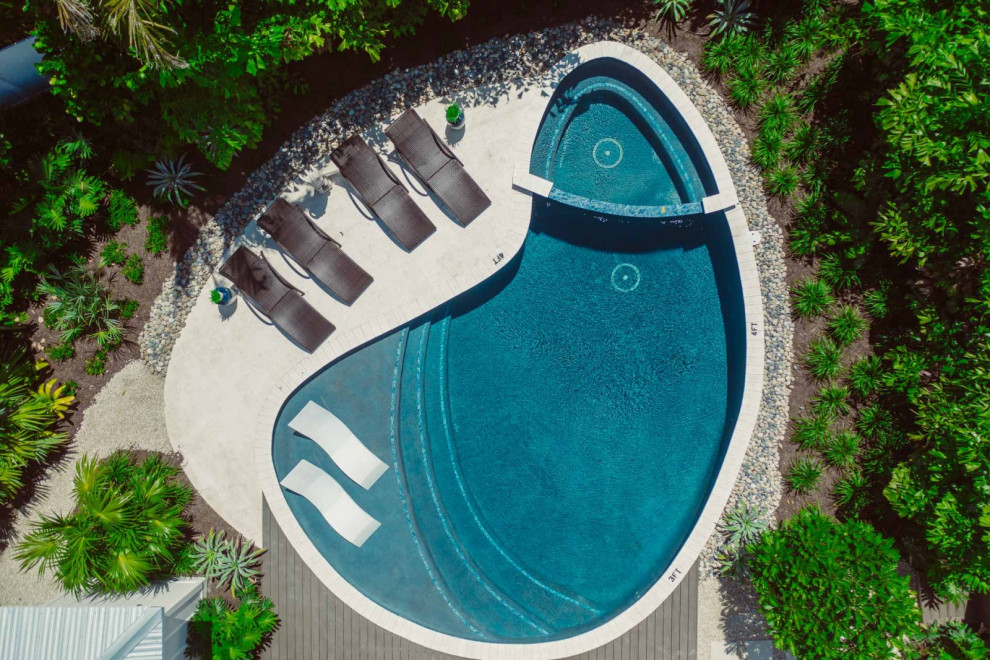 Photo of a beach style pool in Tampa.