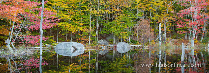 Still Pond, Acadia National Park, Maine
