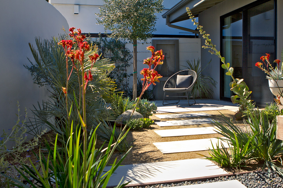 Photo of a small midcentury front yard full sun xeriscape in Los Angeles with a water feature and concrete pavers.