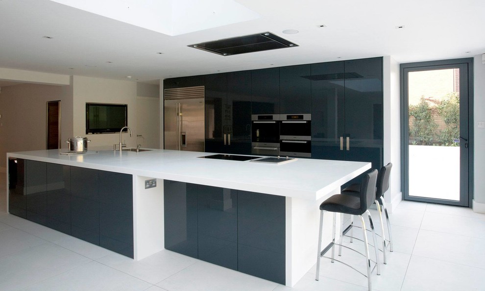 Kitchen - transitional kitchen idea in Miami
