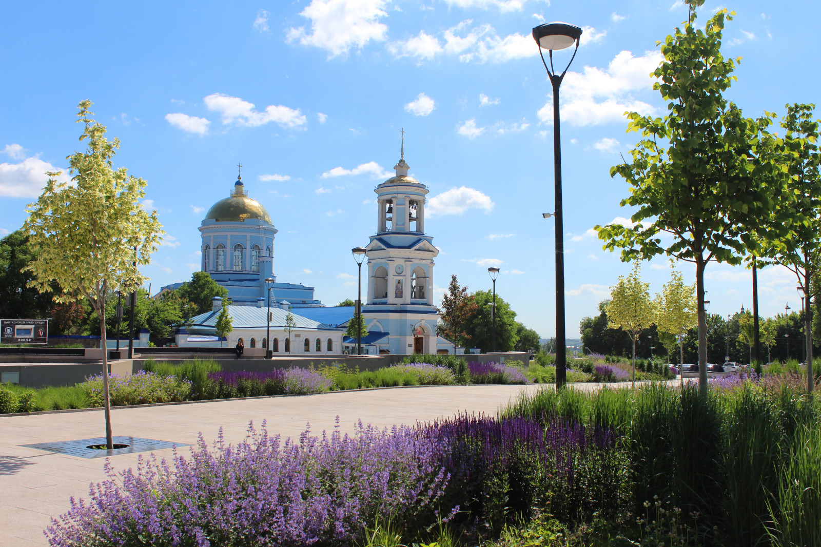 Цветники Советской площади