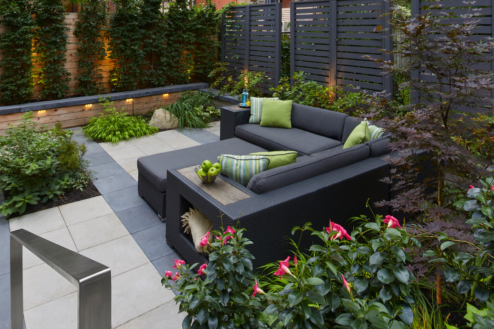 Inspiration for a modern patio in Toronto with concrete slab and no cover.