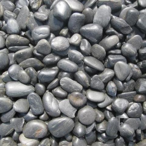 Polished Black Beach Pebbles Random Polished Quartzite Tile, Sample