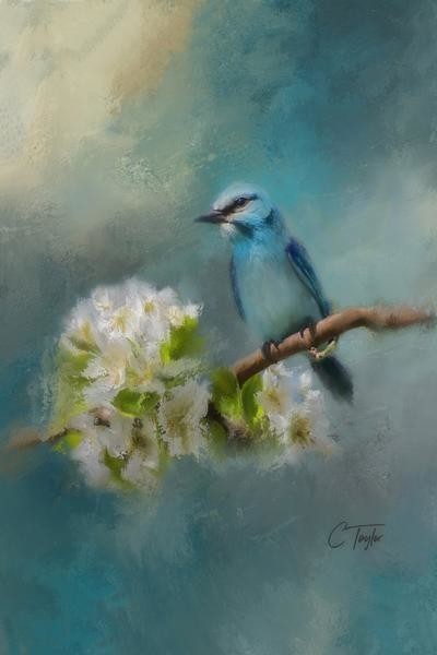 Blue Song Bird Painting Print On Wrapped Canvas Contemporary Prints And Posters By Marmont Hill