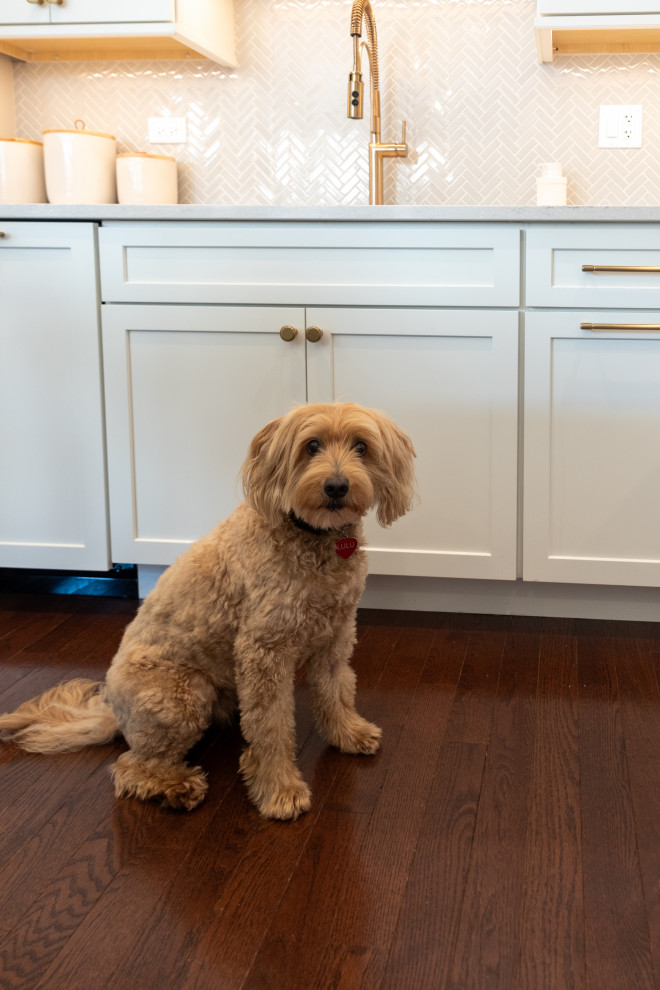 Transitional kitchen photo in Chicago