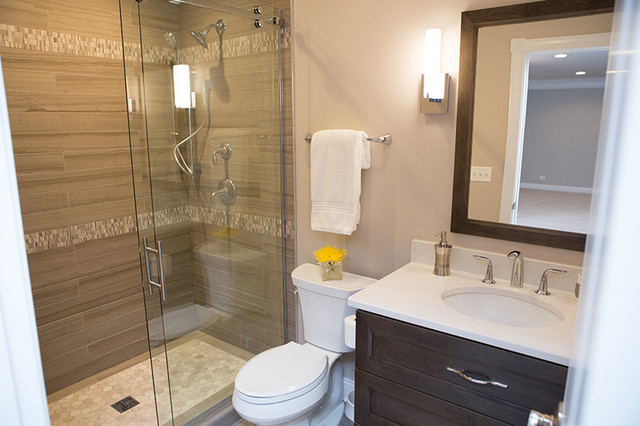 The Perfect Family Basement Traditional Bathroom Chicago