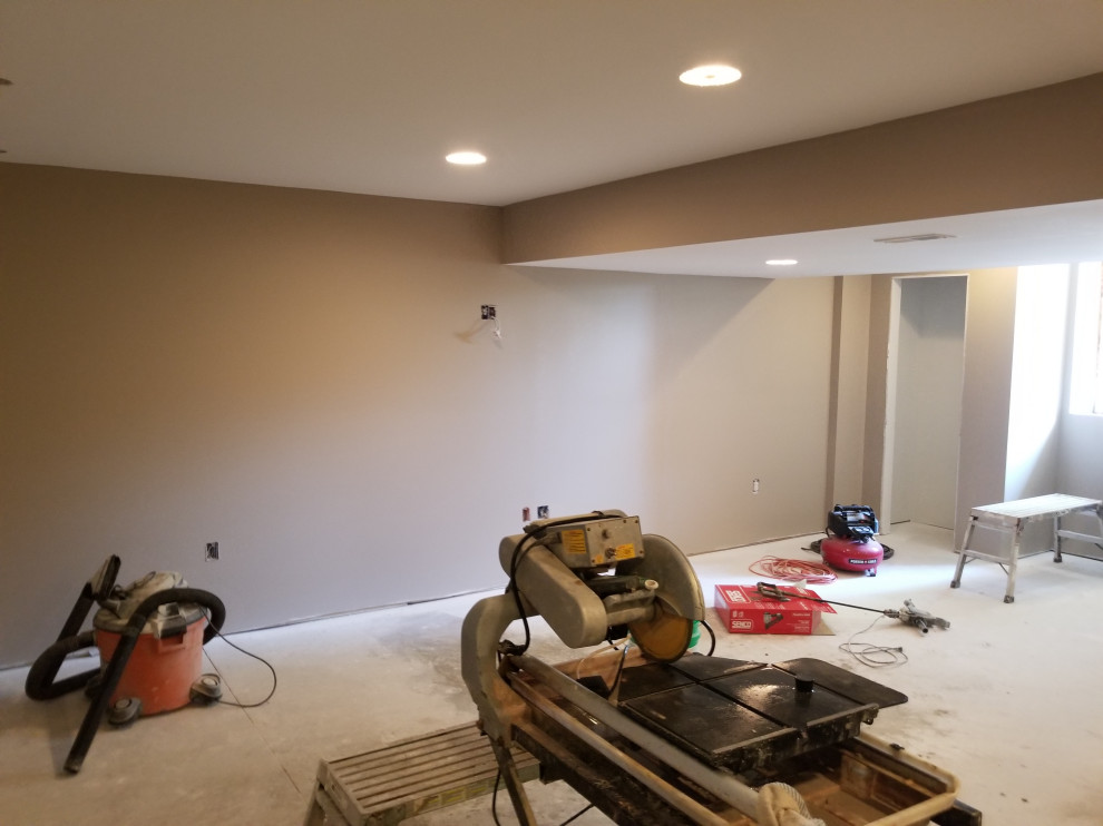 Ann Arbor / Condo Finished Basement with Bathroom