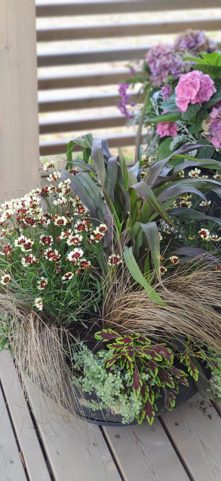 Проект " В тонких линиях "