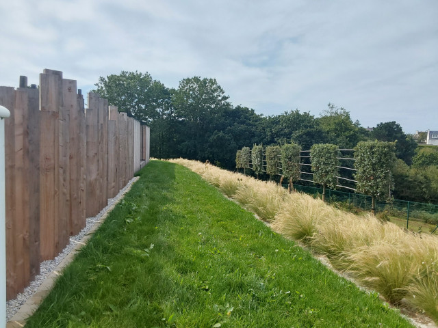 Jardin en paliers contemporary-garden