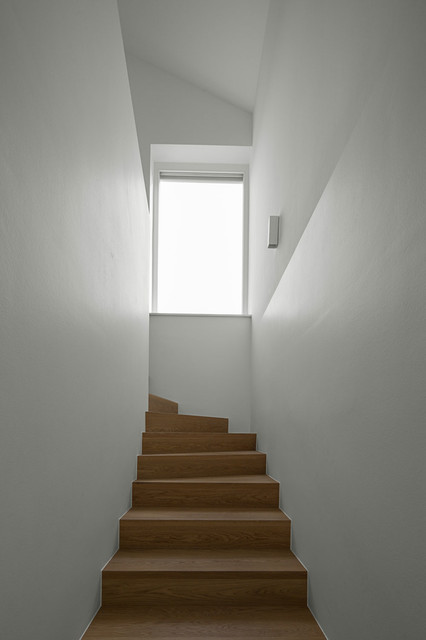 Haus E contemporary-trappa