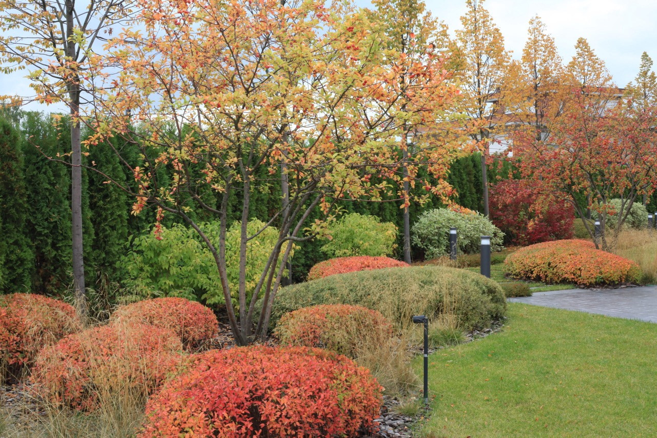 Тихая роскошь