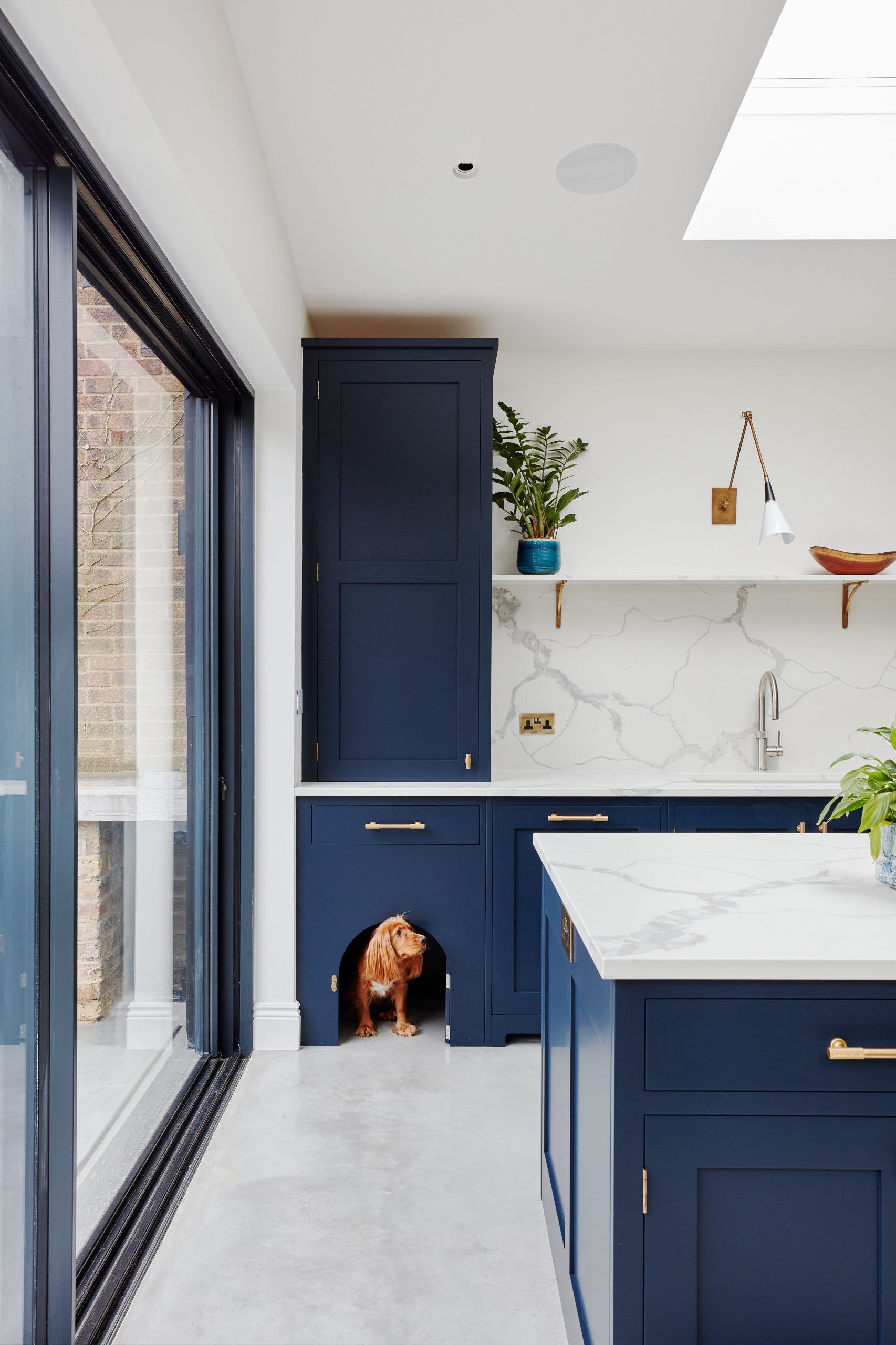 Dog bed in kitchen unit online
