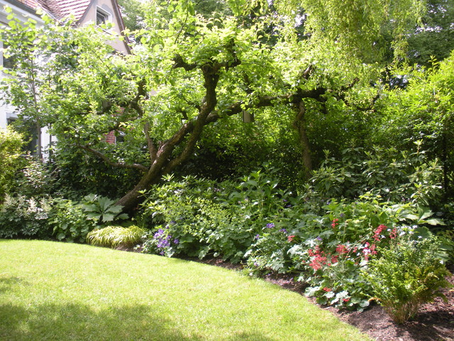 Neues Beet unter uraltem Apfelbaum garden