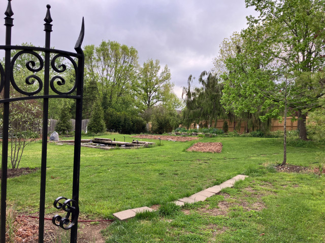 Before backyard 