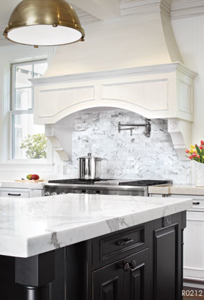 TRANSITIONAL transitional-kitchen