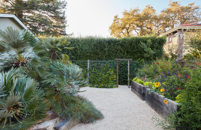 A garden for all reasons in Menlo Park - Transitional - Landscape - San