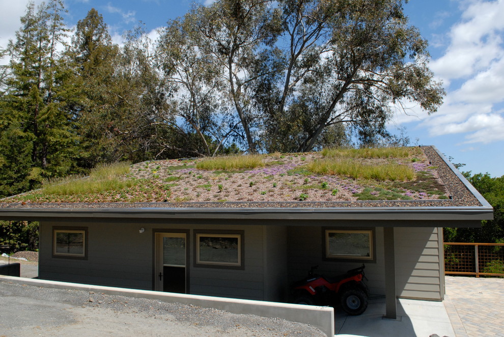 Photo of a contemporary rooftop full sun garden in San Francisco.