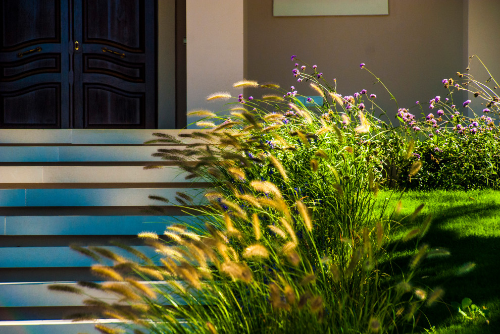 Modelo de camino de jardín grande en verano con exposición parcial al sol