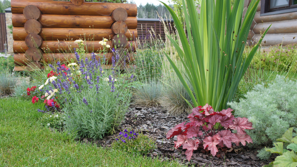 Прохорово лето 2017