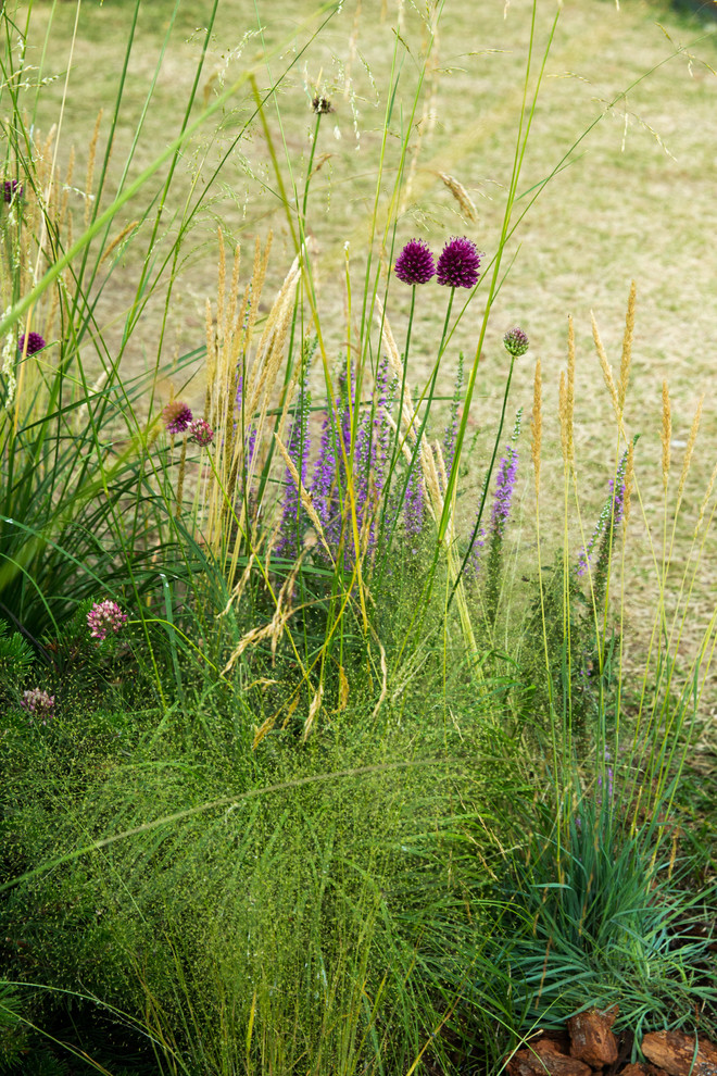 Сад   James Alexander-Sinclair  на Moscow Flower Show 2018  (вне  конкрса)
