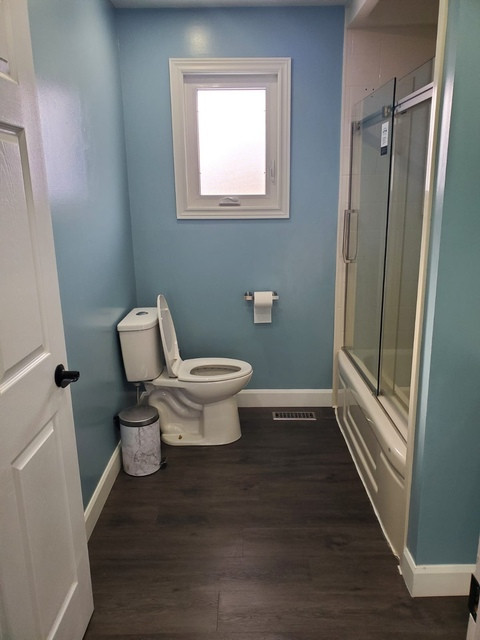 The Blue Bathroom Remodel