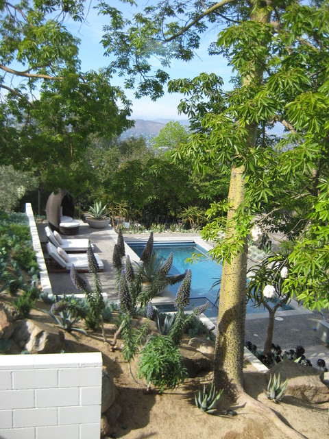 Midcentury Pool mid-century-pools