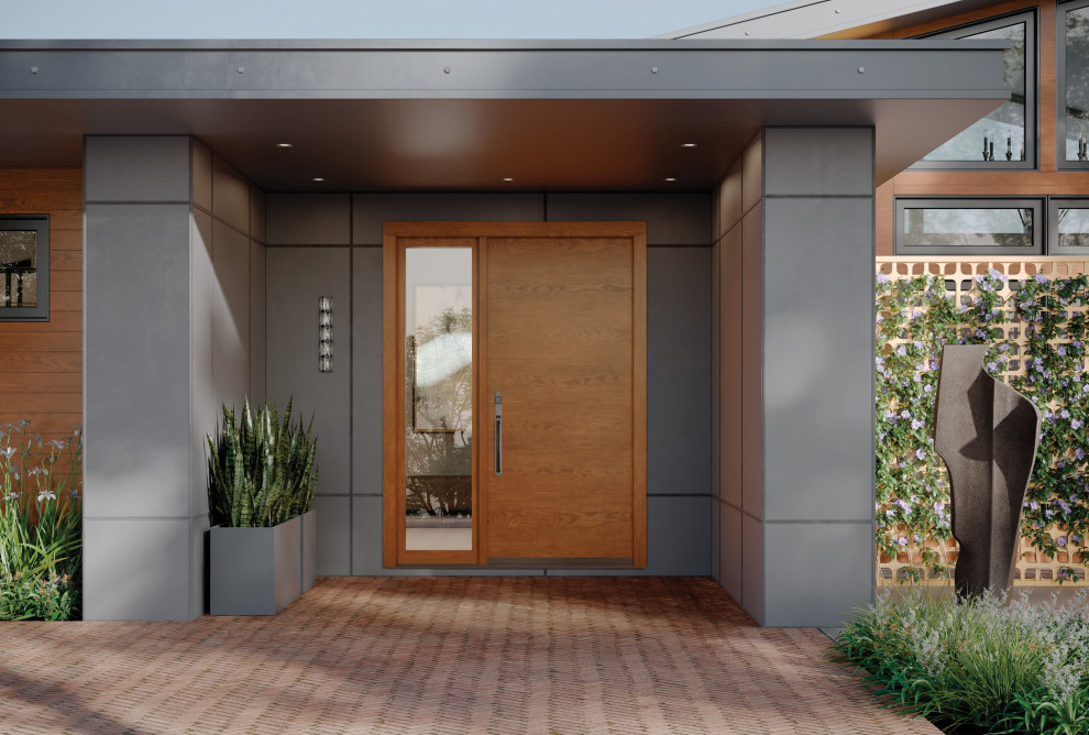 This is an example of a contemporary entrance in Dallas.