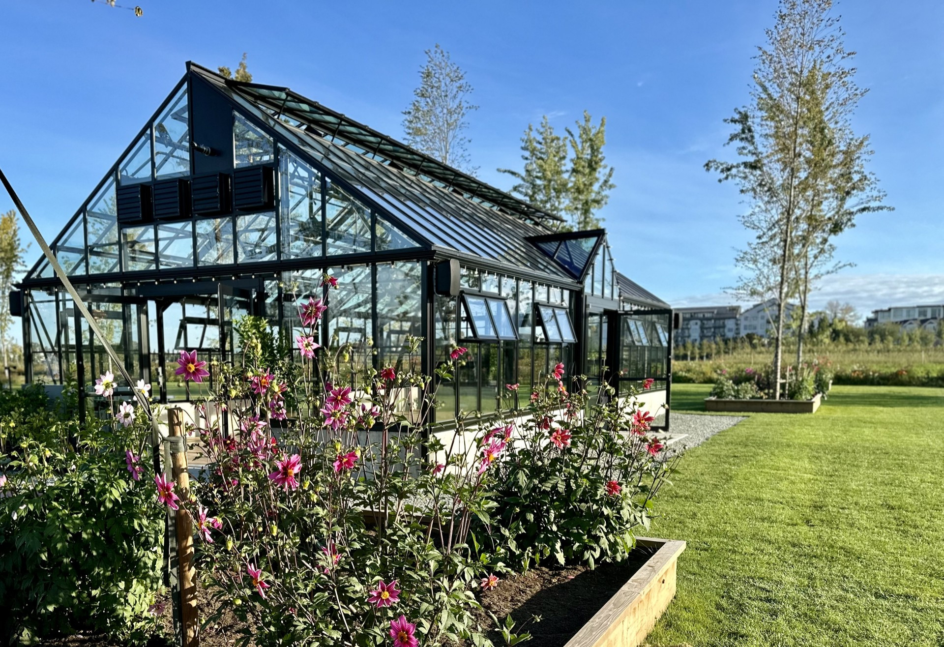 Athiana Acres:  An organic Regenerative Farm