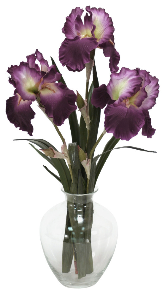 Waterlook® Amethyst Bearded Iris with Blades in Victoria Glass Vase