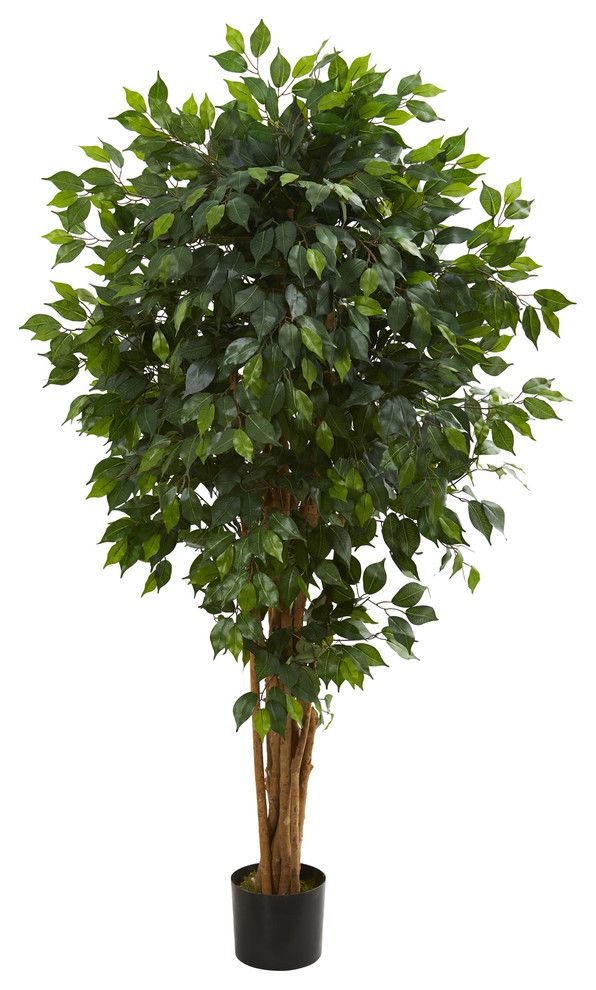 5.5' Ficus Artificial Tree