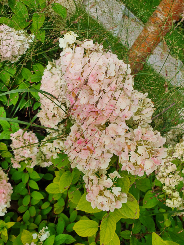 Частный сад