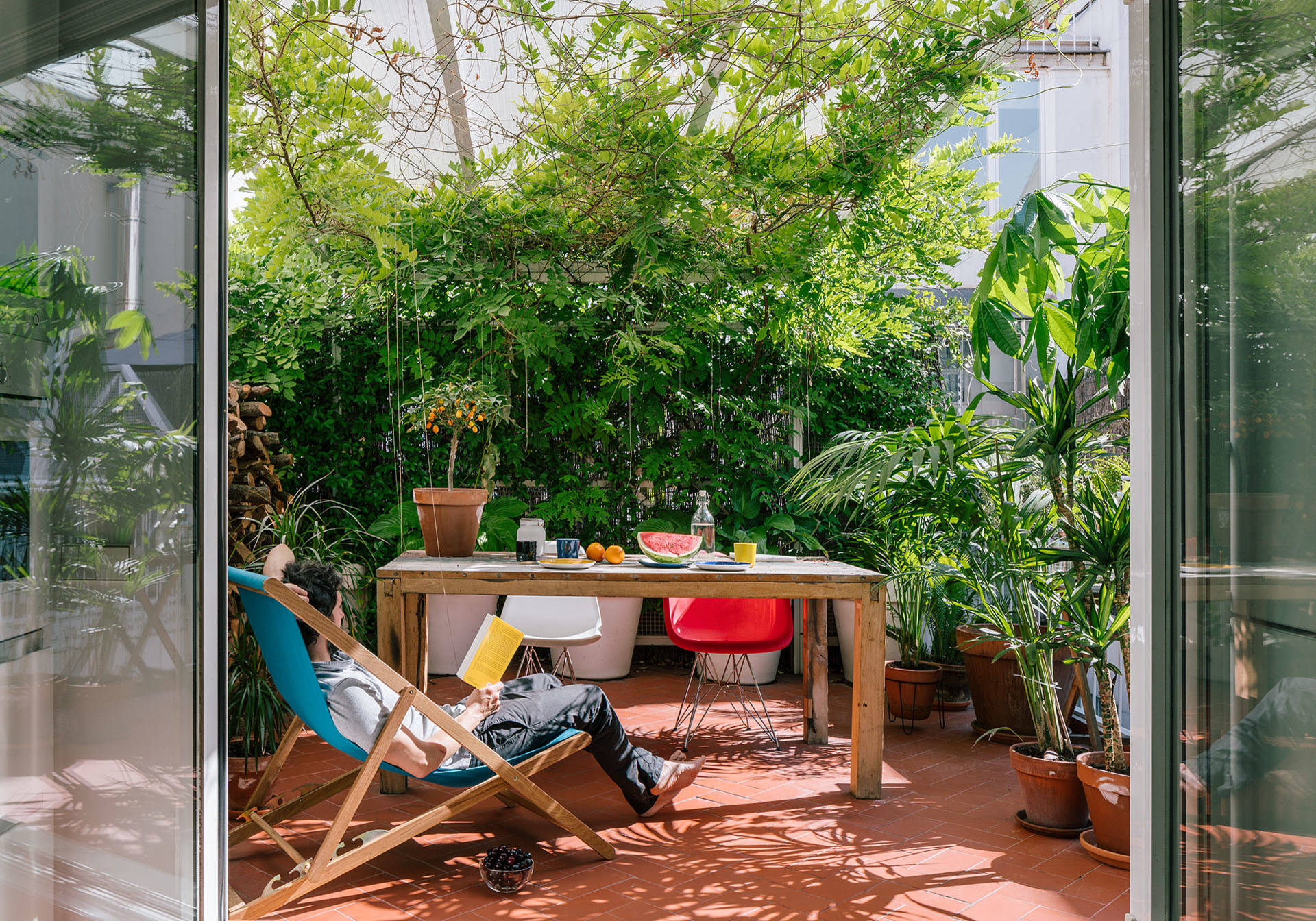Die besten Sichtschutzpflanzen fr Garten und Balkon
