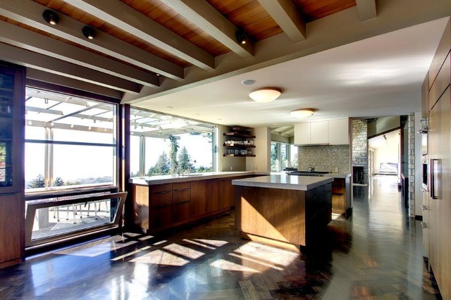 Kitchen contemporary-kitchen