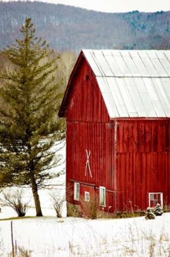 Red Barn House Poster Print by Kelly Poynter Item VARPDX10489P, 14