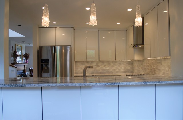 Condo in Lakeview modern-kitchen