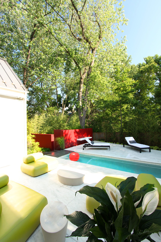 Design ideas for a small transitional backyard rectangular lap pool in DC Metro.