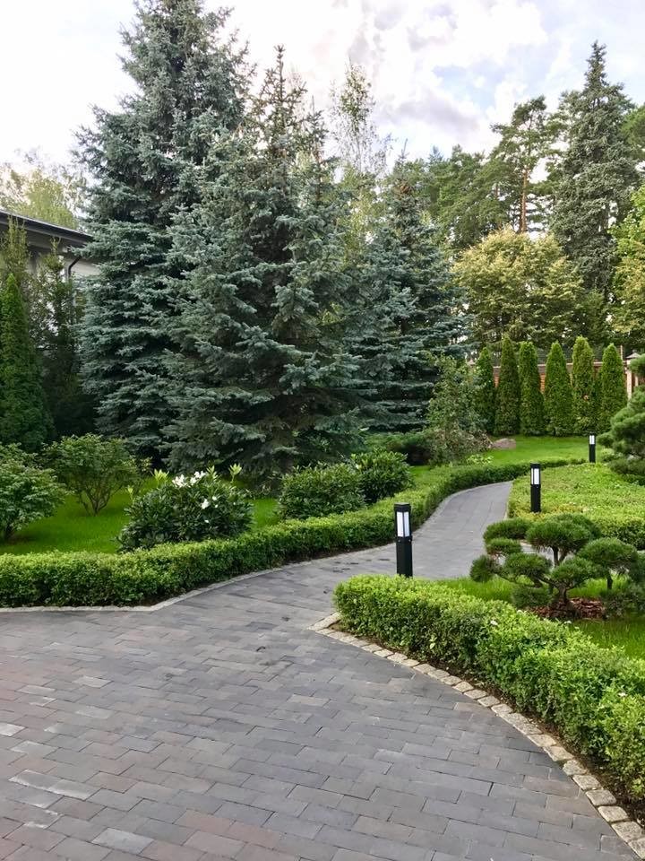 осенние краски