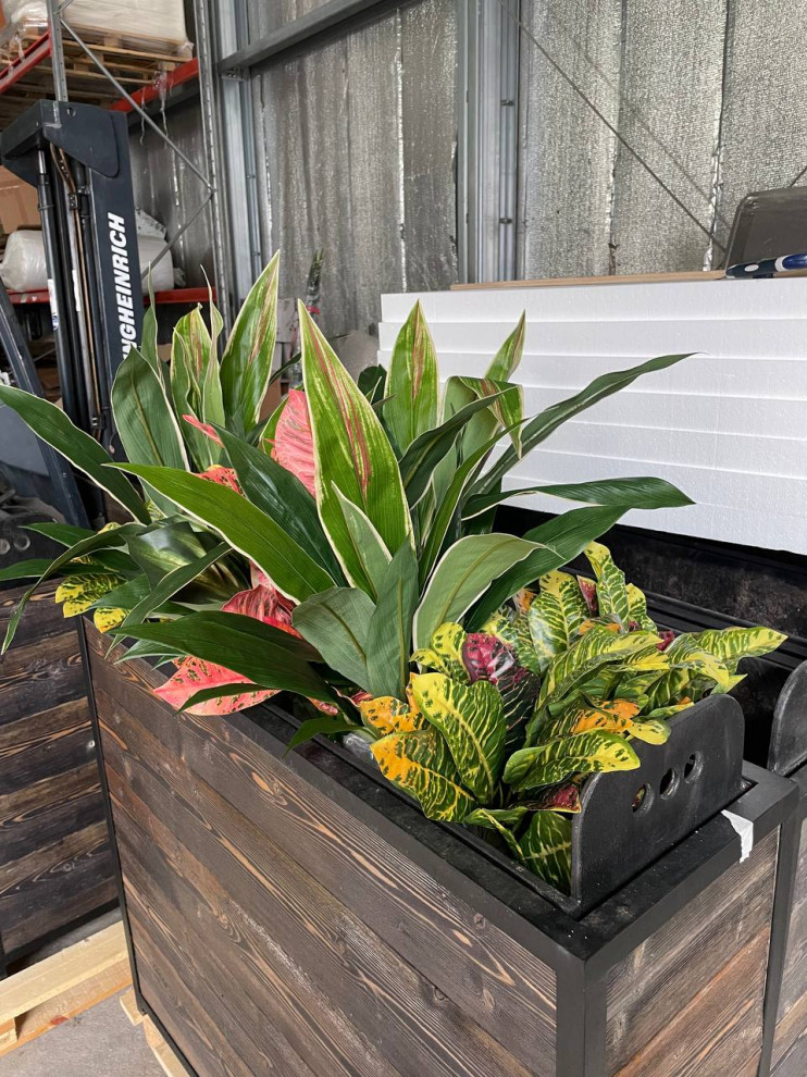 Ресторан FRANK на Рубинштейна г. Санкт-Петербург