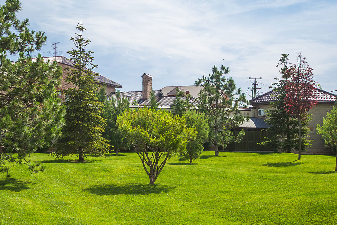 ландшафтный дизайн 2